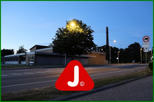lollandsk-energitrae-W-500 | 4930 dot dk